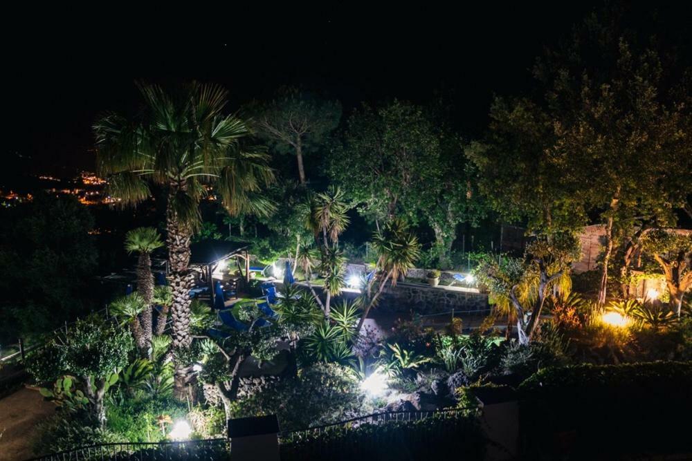 Hotel Belvedere Forio di Ischia Dış mekan fotoğraf